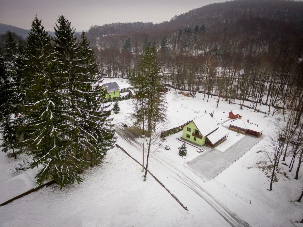 Villa Vila Sara Novo Zvecevo Exterior foto